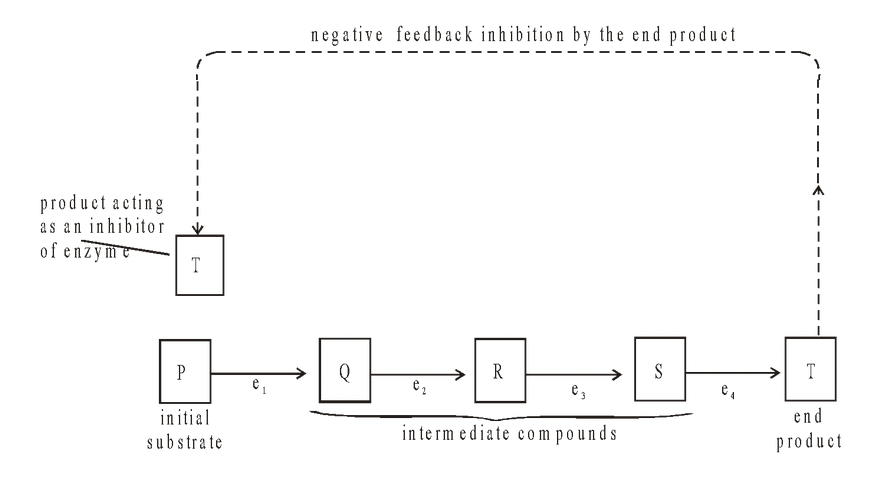 Enzyme Inhibition